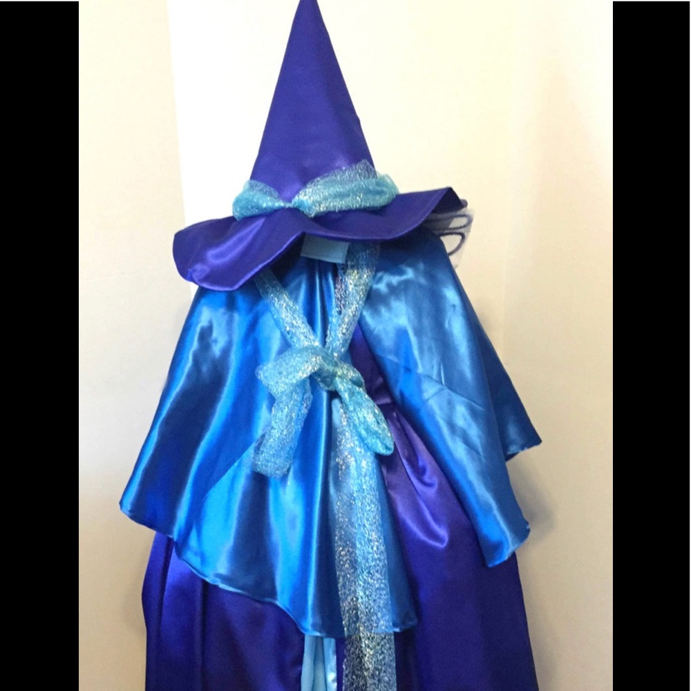 Halloween sleeping beauty fairy/fairies costumes